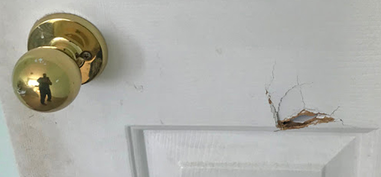 interior door hole repair Lakeland Village