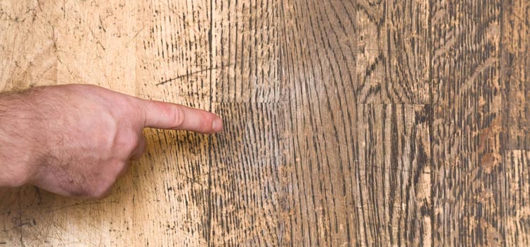 Wood Door Scratch Repair in Lakeland Village